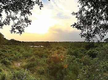 Londolozi Tree Camp: Ausblick