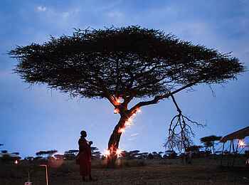Olaado Camp: Öllampen an einer Akazie Olaado Camp: Öllampen an einer Akazie