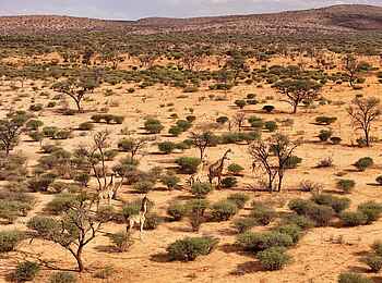 Otjimbondona Kalahari Lodge: Die Landschaft der Kalahari aus der Vogelperspektive