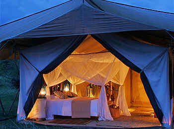 Saruni Wild: Blick ins Zelt Saruni Wild: Blick ins Zelt