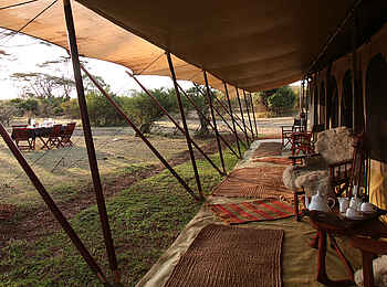 Saruni Wild: Klassischer Safaristil Saruni Wild: Klassischer Safaristil