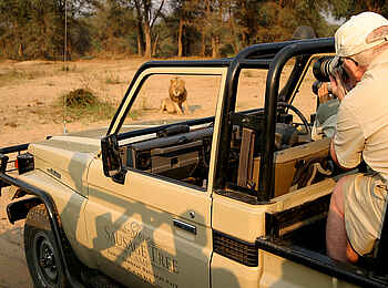 Sausage Tree Camp: Game Drive