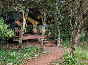 Soroi Mara Bush Camp: Weg zur Zeltsuite