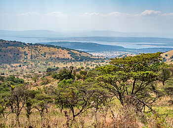 Magashi Camp: Traumhafte Savannen-Landschaft