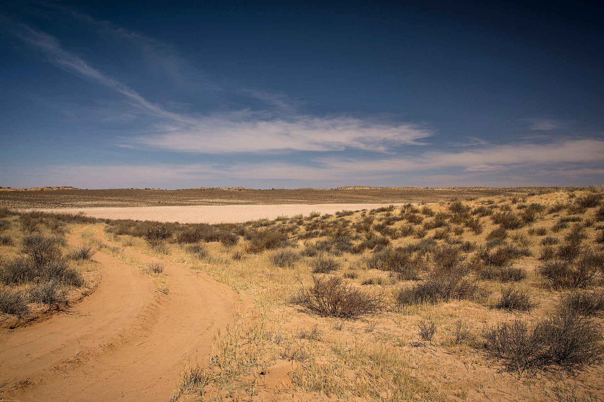 !Xaus Lodge: Landschaft in der Nähe der Lodge