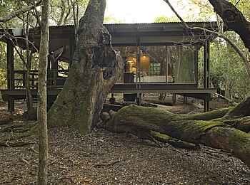 &Beyond Phinda Forest Lodge: Die Suite und ihre Umgebung