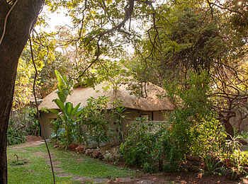 Bayete Guest Lodge: Umgrünte Gästeunterkunft