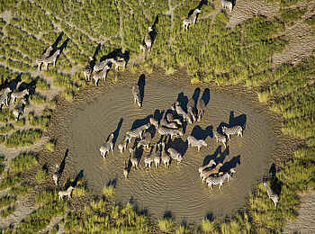 Camp Kalahari: Am Wasserloch