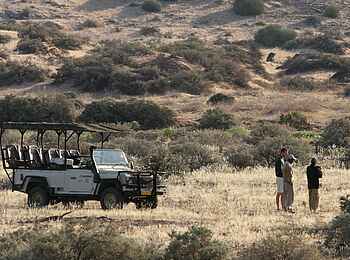 Damaraland Camp: Vogelbeobachtung