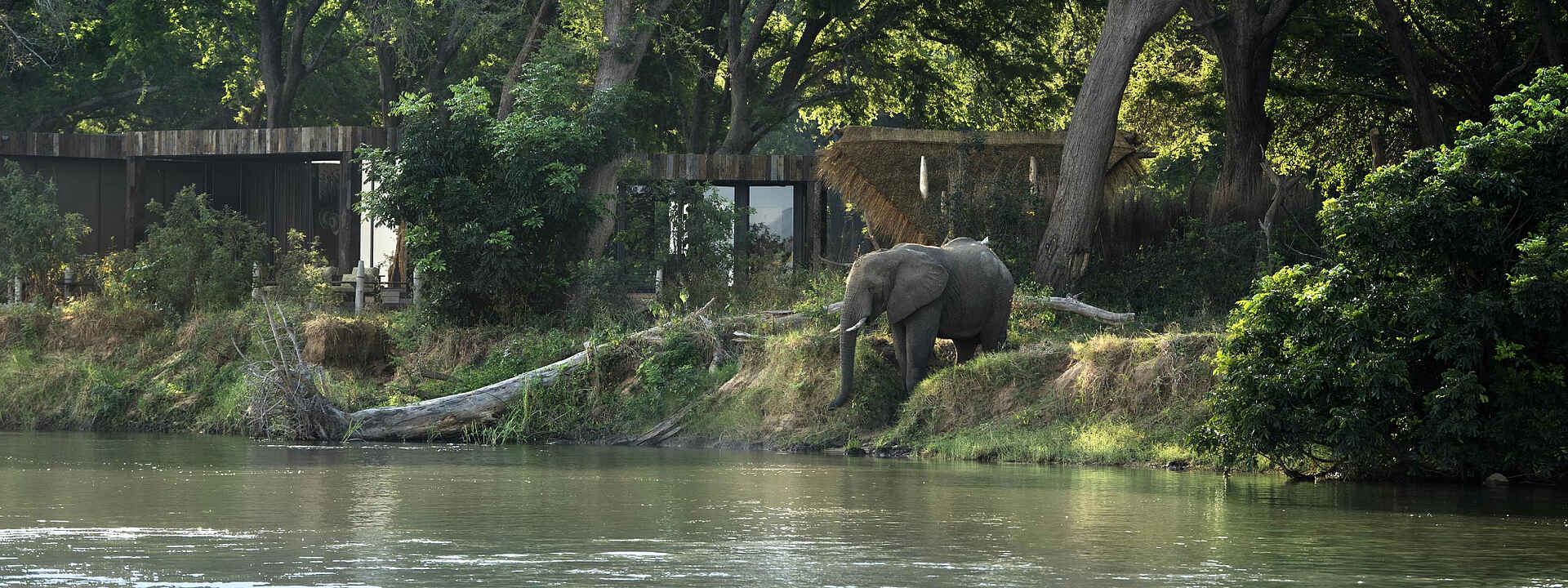 Ein Elefant vor der Lolebezi Lodge