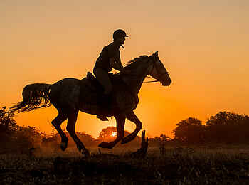 Mashatu Lodge: Reitsafari Mashatu Lodge: Reitsafari
