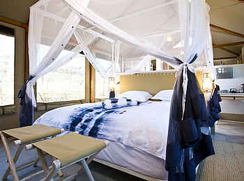 Mushara Bush Camp: Stilvolle Farbakzente in den Chalets