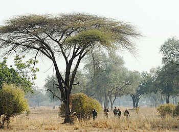 Mwamba Bush Camp: Wandersafari Mwamba Bush Camp: Wandersafari
