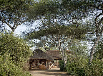 Oliver's Camp: Gemeinschaftsbereich Oliver's Camp: Gemeinschaftsbereich