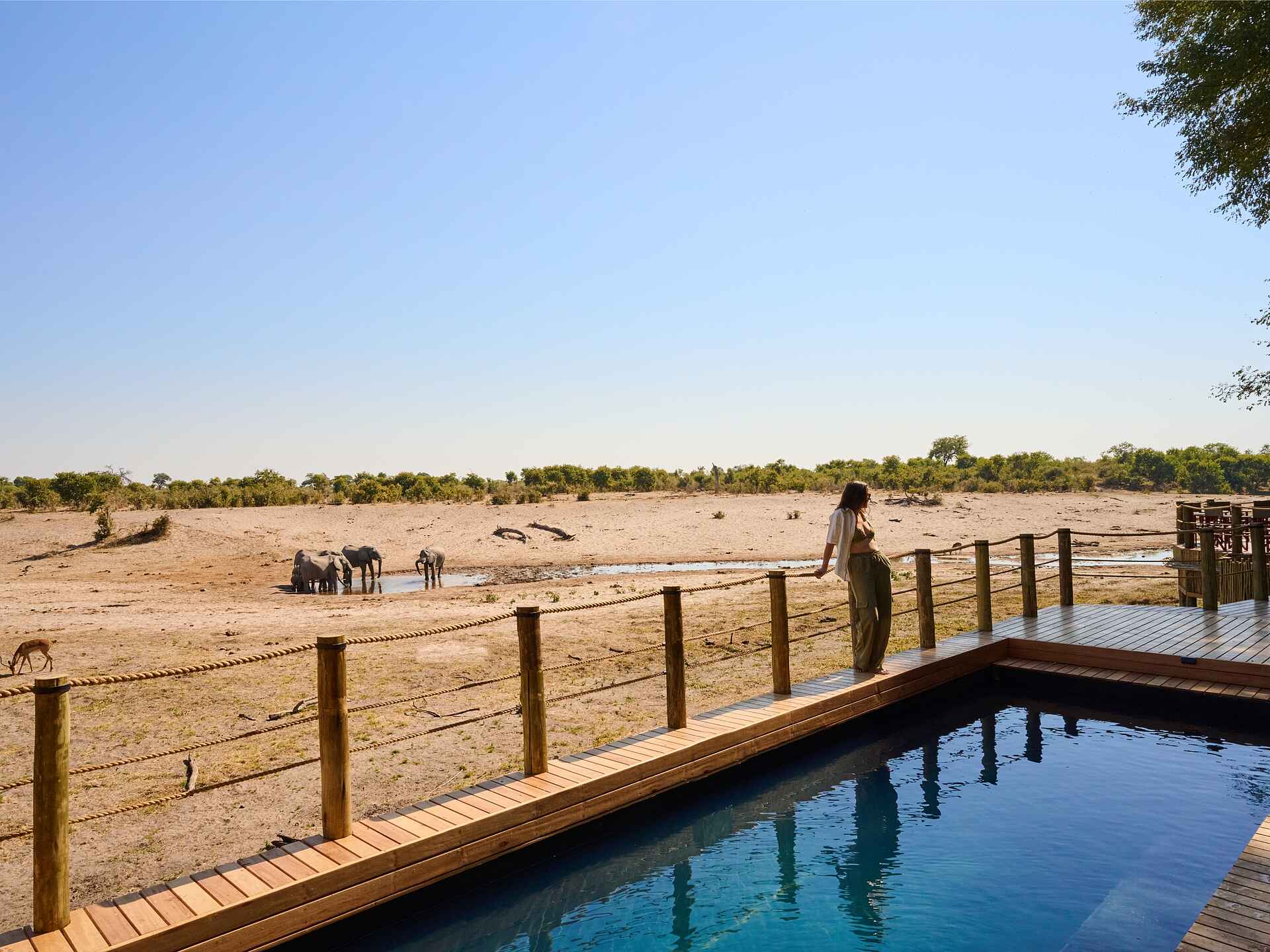 Savute Safari Lodge: Pool