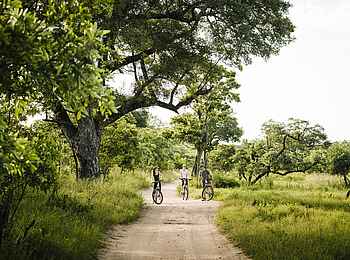 Singita Boulders Lodge: Radtour
