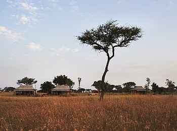 Singita Explore Mobile Tented Camp: Das Camp aus der Ferne Singita Explore Mobile Tented Camp: Das Camp aus der Ferne