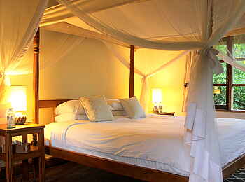 Volcanoes Bwindi Lodge: Himmelbett mit Moskitonetz