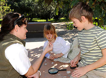 Sabi Sabi Bush Lodge: Junior Ranger Programm Sabi Sabi Bush Lodge: Junior Ranger Programm