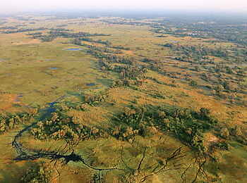 Tuludi Camp: Luftbild der Khwai-Region Tuludi Camp: Luftbild der Khwai-Region