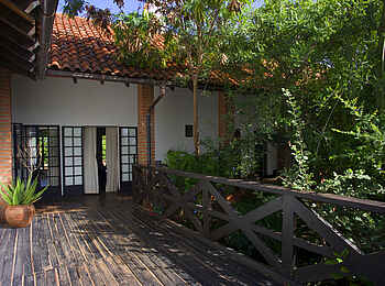 Bashay Rift Lodge: Vegetation am Haus Bashay Rift Lodge: Vegetation am Haus