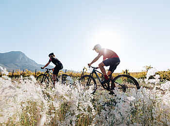 Boschendal Wine Estate: Ausfahrt