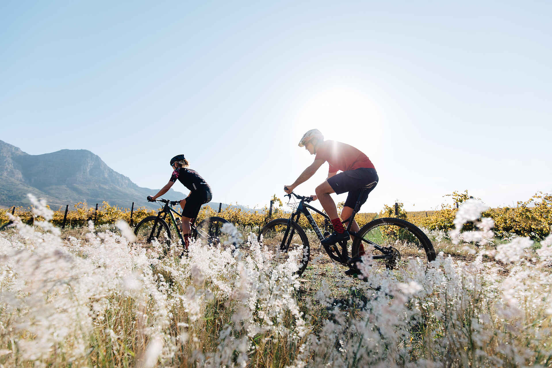 Boschendal Wine Estate: Ausfahrt