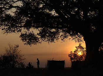 Chada Katavi Camp: Sonnenuntergang