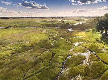 Duba Plains Suite: Lage am Rand eines Okavango-Seitenarms