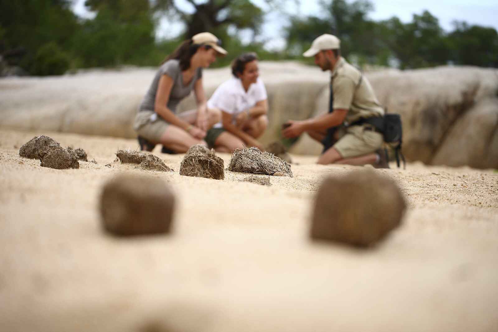 Dulini River Lodge: Bei allen Touren nehmen sich die Guides Zeit für Erklärungen Dulini River Lodge: Bei allen Touren nehmen sich die Guides Zeit für Erklärungen