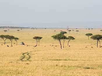 Legendary Songa Migrational Camp: Landschaft