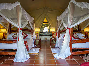 Mbuzi Mawe Serena Camp: Zwei Einzelbetten Mbuzi Mawe Serena Camp: Zwei Einzelbetten