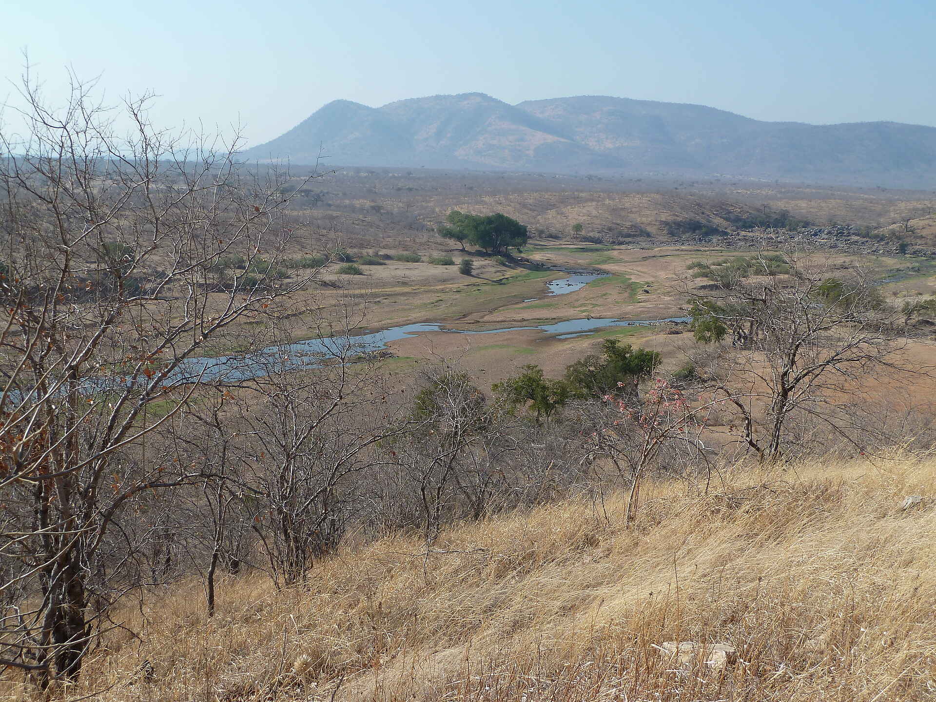 Mwagusi Safari Camp, Ruaha National Park, Ruaha River, Südliches Tansania, Flussbett, Landschaft, Afrikarma, Afrikarma Safaris, Afrikarma Safaris - Wildnis. Hautnah., Afrikarma.de