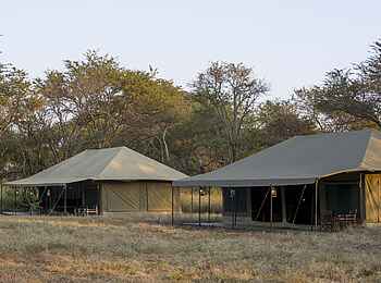 Naona Moru Camp: Gästezelte