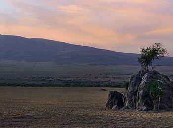 Olduvai Camp: Lemakarot-Vulkan
