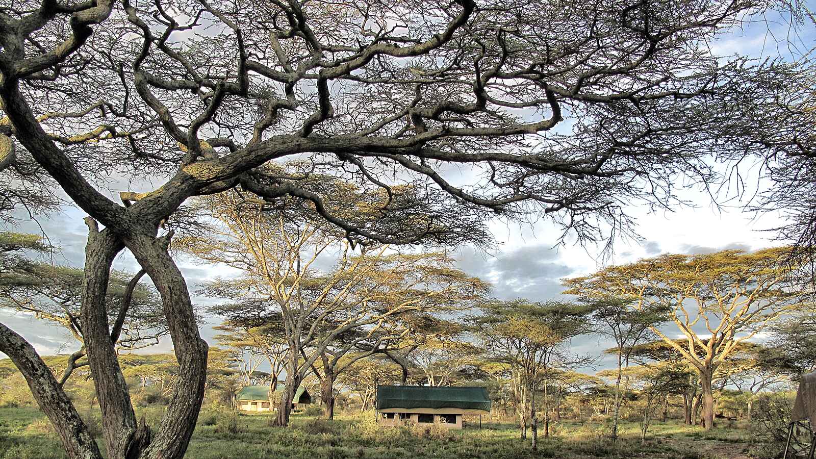 Serian Serengeti Mobile Camp: Kusini Serian Serengeti Mobile Camp: Kusini