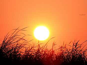 Setari Camp: Sonnenaufgang