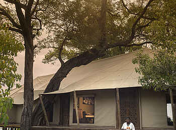 Zarafa Dhow Suites: Aufgang zu den Dhow Suites