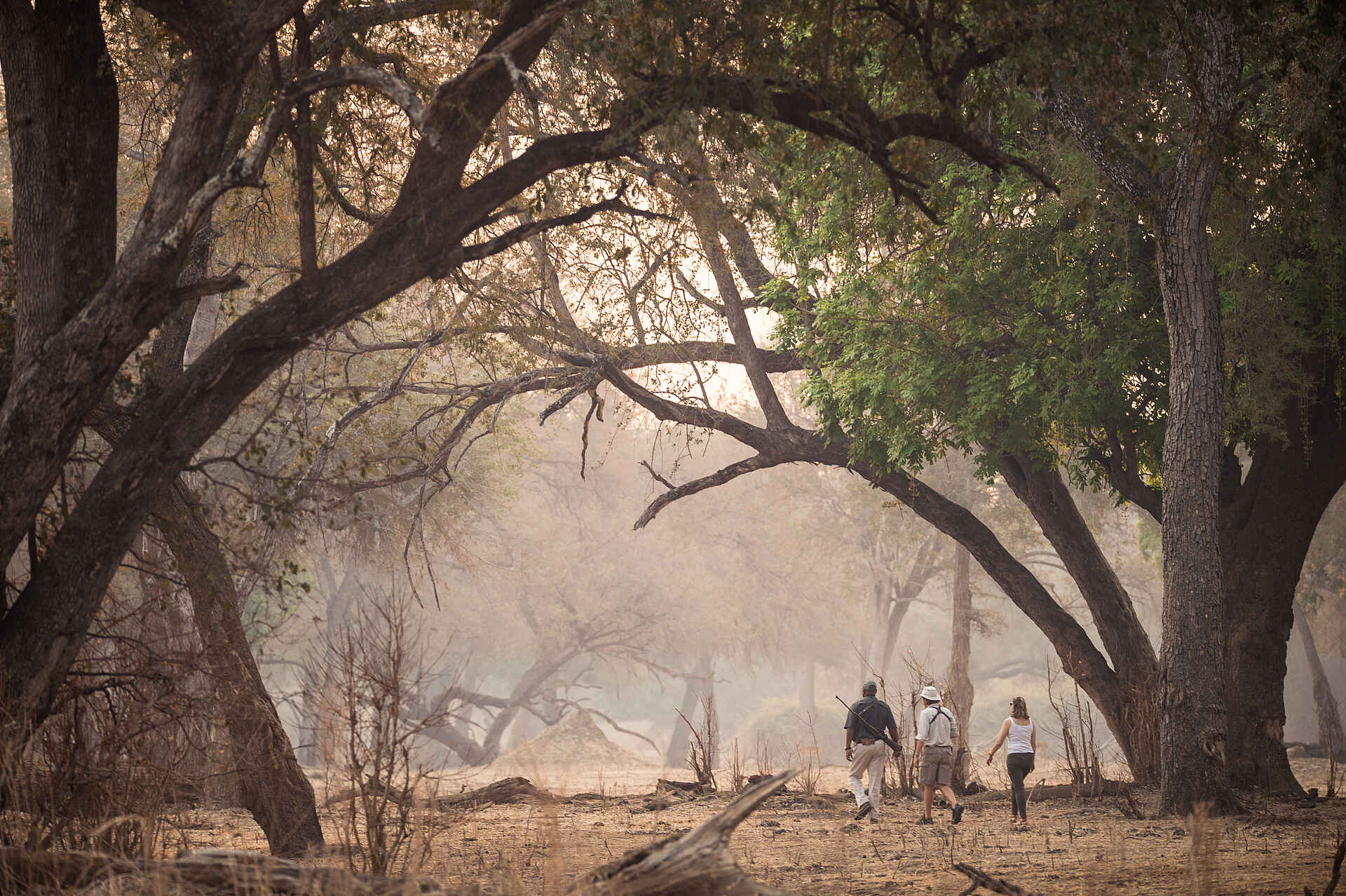 Chikwenya Camp: Walking Safari