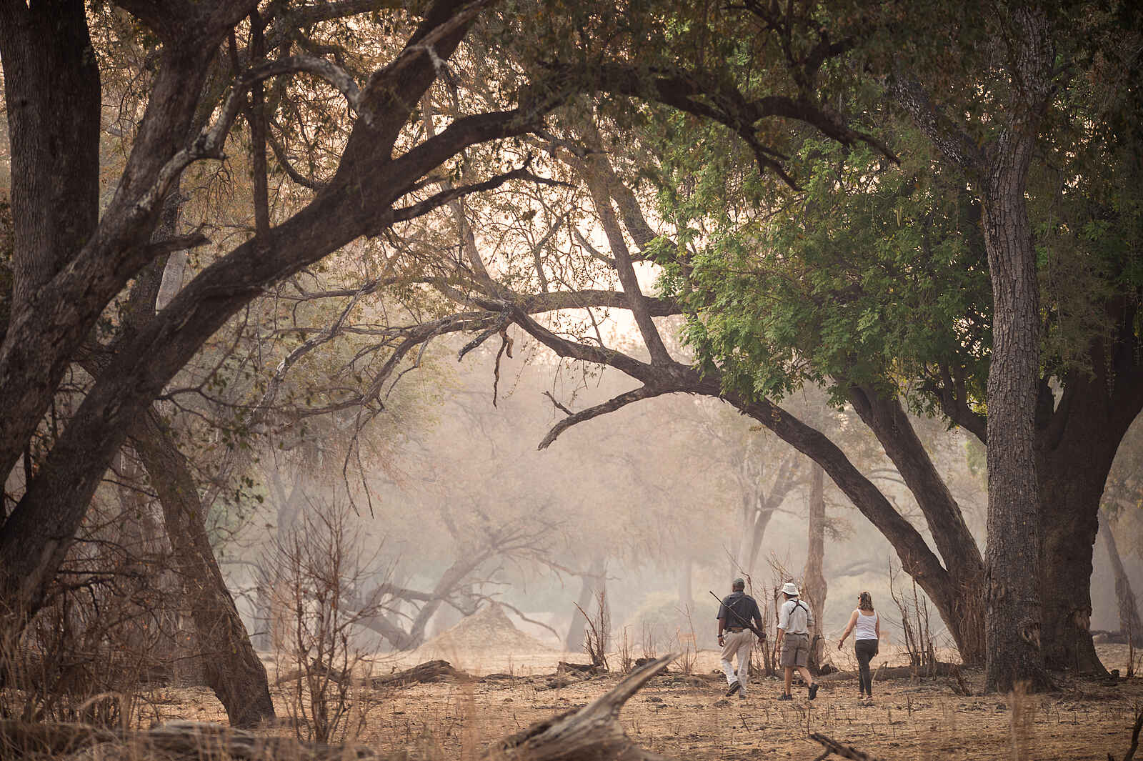 Chikwenya Camp: Walking Safari Chikwenya Camp: Walking Safari