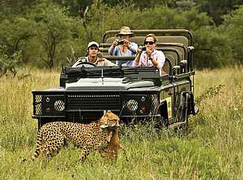 MalaMala Sable Camp: Beobachtung eines jagenden Leoparden