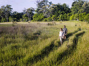 Sanctuary Stanley's Camp: Zu Fuß durch den Busch