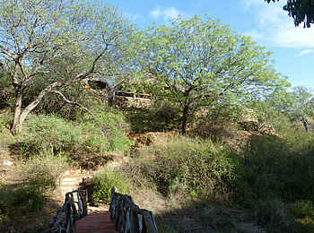 Sarara Tree: Pfad durch das Gelände des Camps Sarara Tree: Pfad durch das Gelände des Camps