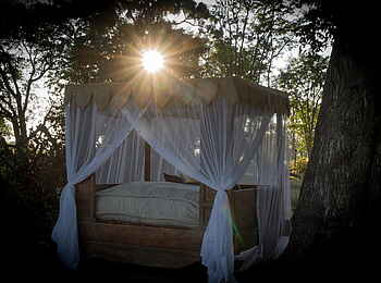 Selinda Explorers Camp: Sleepout-Bett Selinda Explorers Camp: Sleepout-Bett