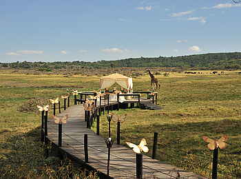 Hatari Lodge: Hochzeits-Arrangement