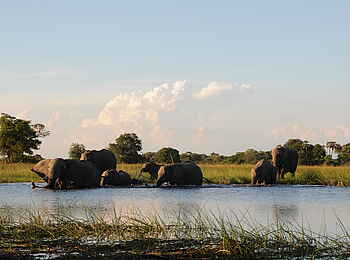 Macatoo Camp: Elefanten-Bad