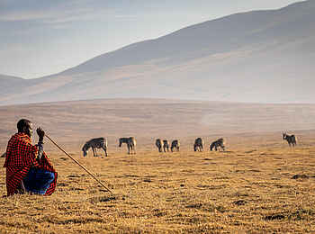 Ngorongoro Lions Paw Camp: Hirte