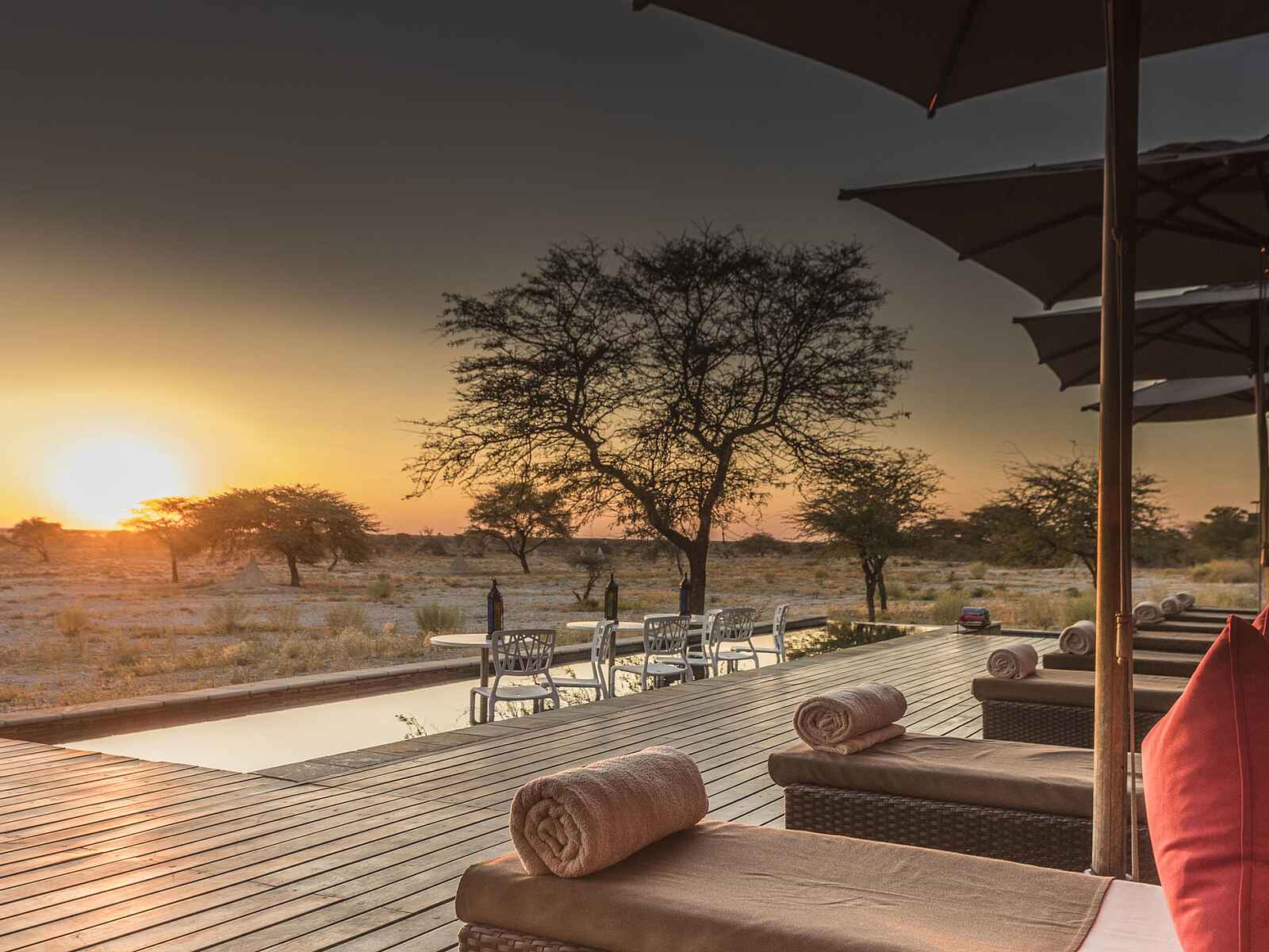 Onguma Tented Camp: Pool des Wellnessbereichs Onguma Tented Camp: Pool des Wellnessbereichs