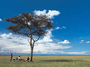 Rekero Camp: Bush lunch