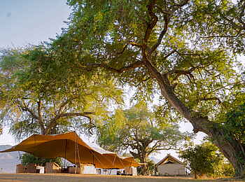 Little Vundu Camp: Hauptzelt unter Bäumen Little Vundu Camp: Hauptzelt unter Bäumen